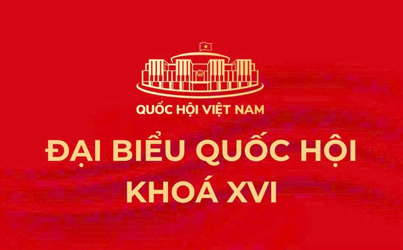 DANH SÁCH TRÚNG CỬ ĐẠI BIỂU QUỐC HỘI KHÓA XVI